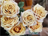 Голден Мустард (Golden Mustard) 2570