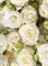 Брайдал Флоу 2358