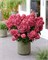 Бонфайр (Hydrangea paniculata Bonfire) 2950