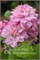 Инносент Глейнс (Clematis Innocent Glance) 3288
