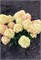 Литтл Лав , Living® (Европа) (Hydrangea paniculata Little Love) 3432