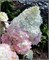 Мэджикал Андес (Hydrangea paniculata Magical Andes) 3557