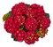 Спиди Рэд Импрувед (Hydrangea macrophylla Speedy Red Improved) 3841