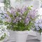 Флауэрфеста Пурпл (Syringa meyeri Flowerfesta purple) 3954