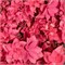 Фрэнси Хот Пинк (Hydrangea macrophylla Francy Hot Pink) 3976